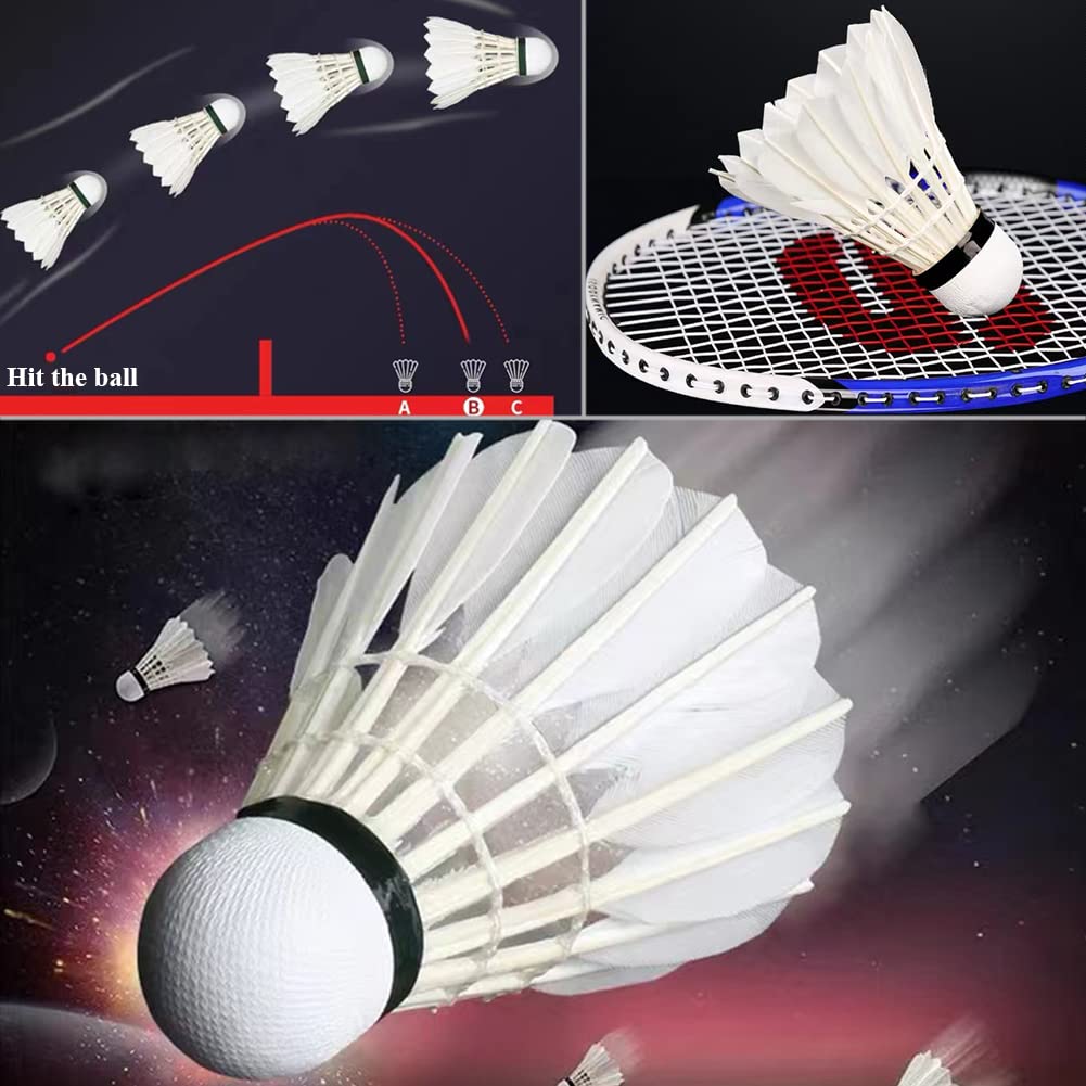 Seturi de badminton premium și standard – pachet de 12, cutie violet sau roșie pentru o experiență de joc excelentă