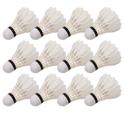 Seturi de badminton premium și standard – pachet de 12, cutie violet sau roșie pentru o experiență de joc excelentă
