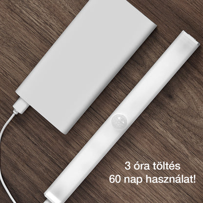 Dollcini, Lampă LED inteligentă cu senzor de mișcare și încărcare USB, portabilă, 21 cm, lumină rece