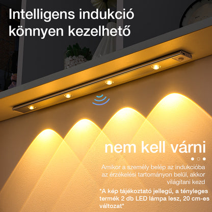 Dollcini, Lampă LED inteligentă cu senzor de mișcare și încărcare USB, portabilă, 21 cm, lumină rece